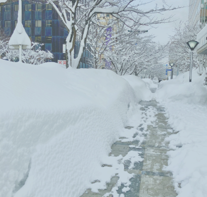 電気式 ロードヒーティング